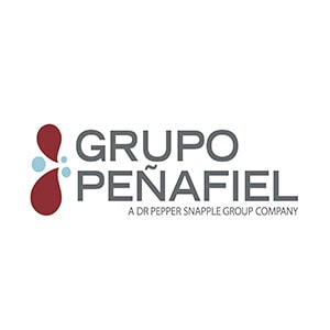 Logo Grupo Peñafiel